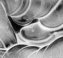 Ice Patterns